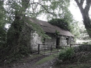 Abandoned_Cottage_desat